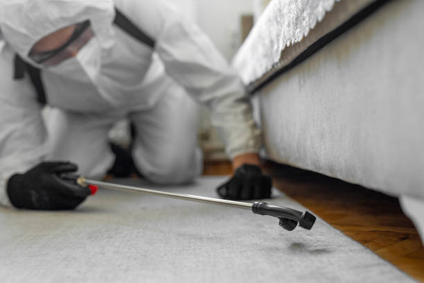 Professional Emergency Pest Control technician working in Bradley Gardens, NJ