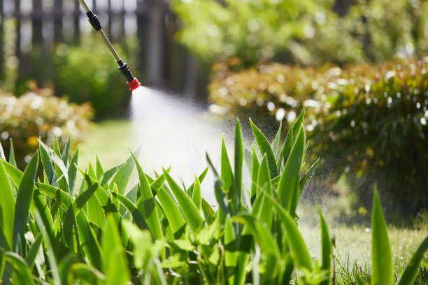 24/7 Emergency Emergency Pest Control experts in Bradley Gardens, NJ