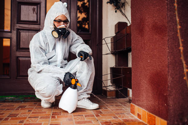 Reliable Emergency Pest Control contractor in Bradley Gardens, NJ by Nex Pest Control